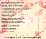 Infinite Horse CNY Hamper (HAM588)