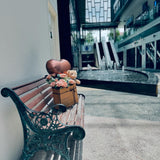 Cuppucino Roses, Balloon & Plush Toy Bear (FD170)