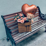 Cuppucino Roses, Balloon & Plush Toy Bear (FD170)