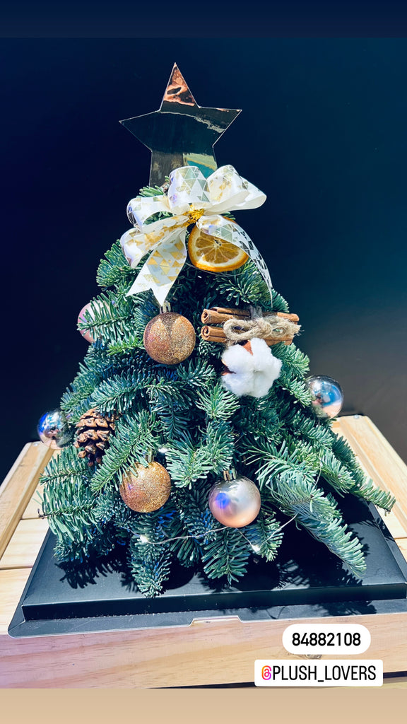 Fresh Christmas Tree Decorated with Ornaments (CHR005)