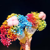 Ice cream cone Rainbow Babybreath Bouquet (FD098)