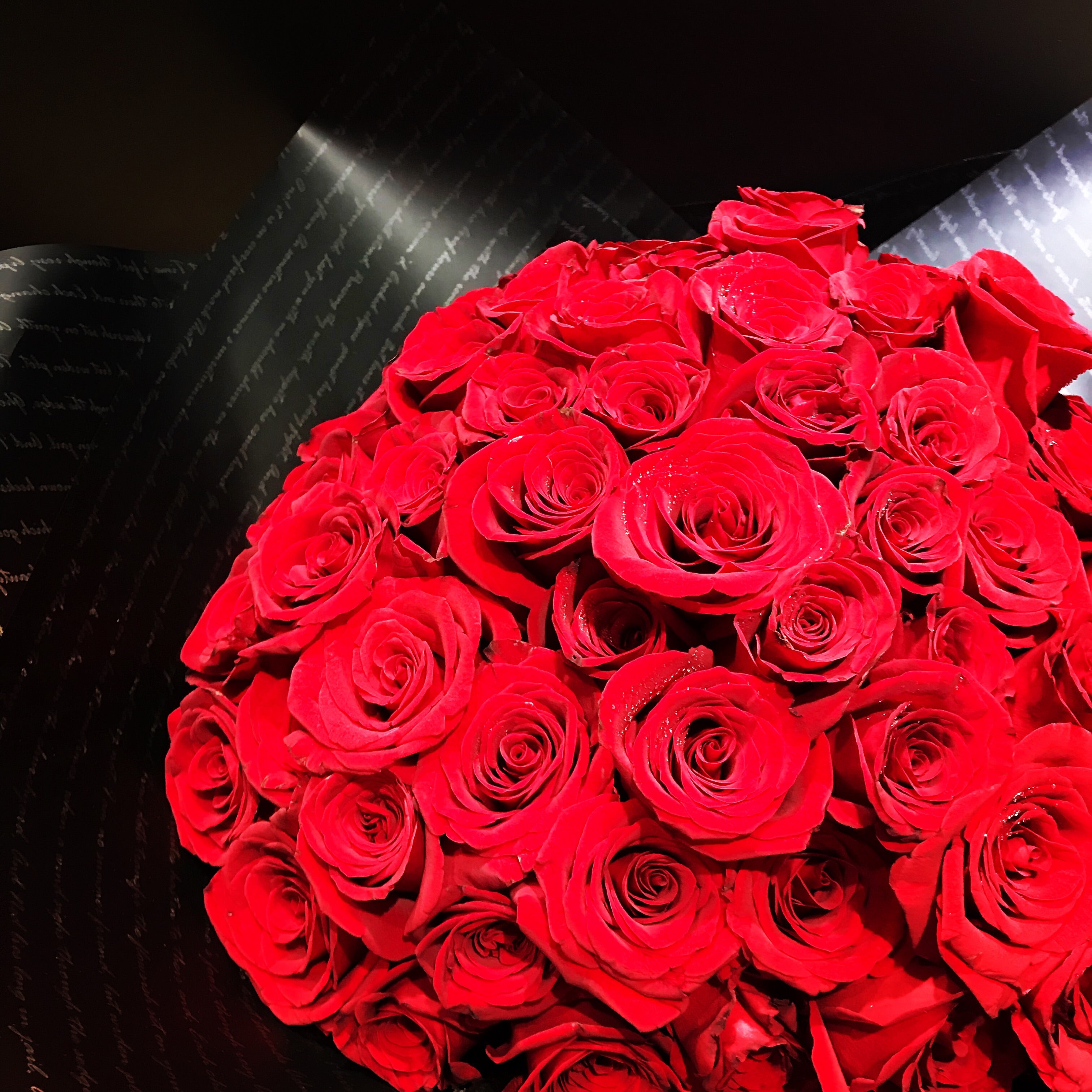 99 Roses Why 99 Red Roses ! | PLUSH LOVERS