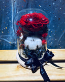 Preserved Rose in Dome (PF015)