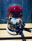 Preserved Rose in Dome (PF015)