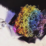 Rainbow Million Tear (FD040) Rainbow Babybreath Bouquet