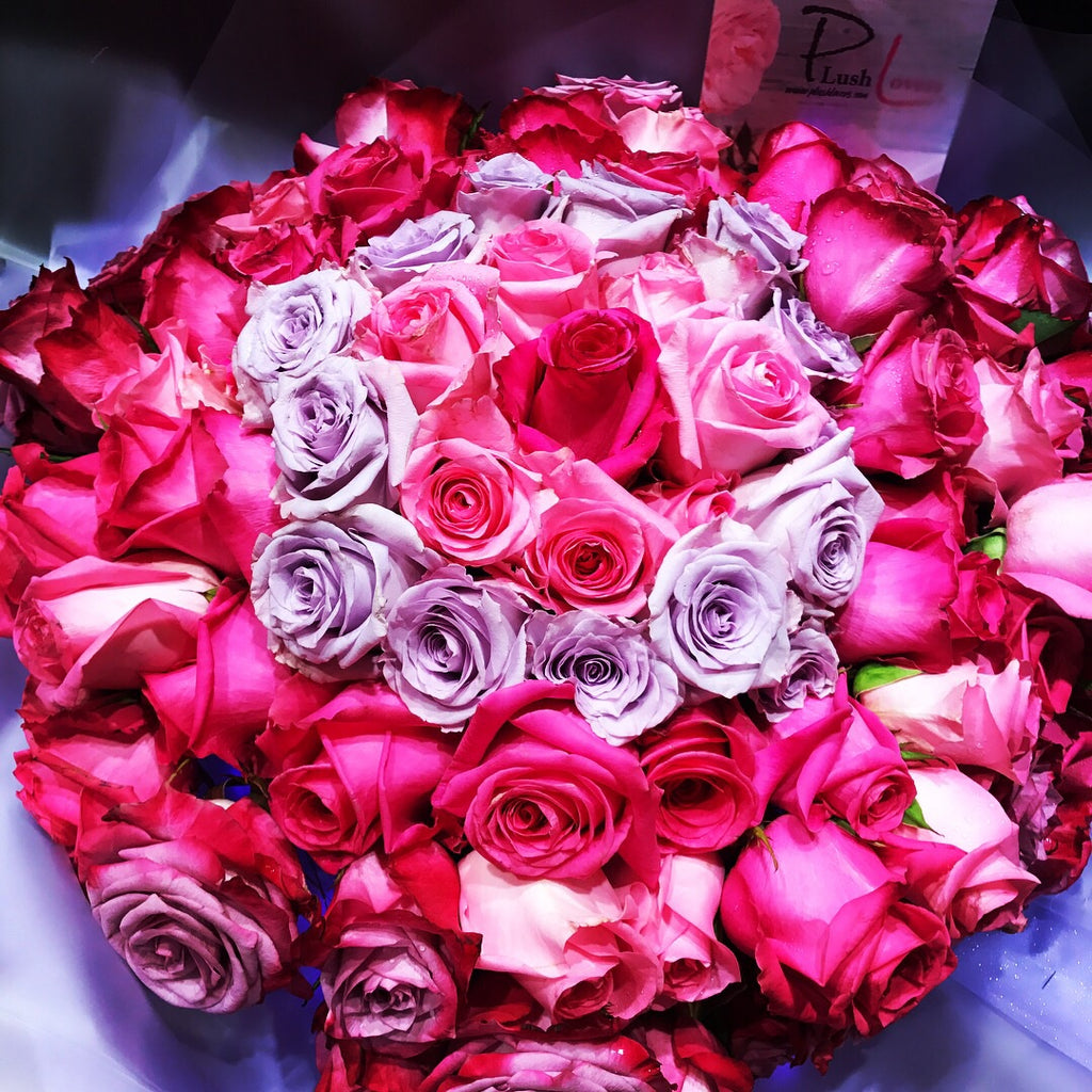 99 Roses Cut 99 Roses with mixture of 5 Tones (FD011) | PLUSH LOVERS