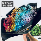 Giant Rainbow Babybreath Bouquet (FD097)