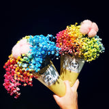 Ice cream cone Rainbow Babybreath Bouquet (FD098)