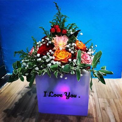 Flowers in Multi Colour LED Box (FDB02)