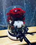 Preserved Rose in Dome (PF015)