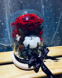 Preserved Rose in Dome (PF015)